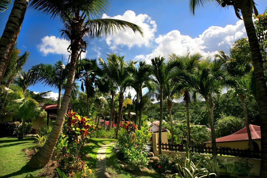 Hotel - Residence Habitation Grande Anse Deshaies Eksteriør billede